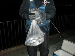 【えっ、2桁!?(*´▽`*)】南芦屋浜リアルタイム 【えっ、2桁!?(*´▽`*)】南芦屋浜リアルタイム