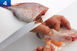 基本的な魚のさばき方　手順4