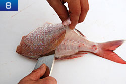 基本的な魚のさばき方　手順8