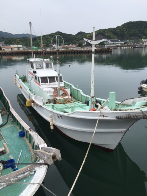 和歌山へティップランエギングに挑戦してきました フィッシングマックス 関西の釣果 大阪 神戸 和歌山の釣果情報