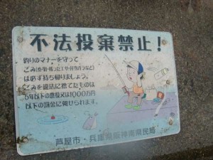 【雨でも関係なし、よ～釣れてる!!】南芦屋浜リアルタイム