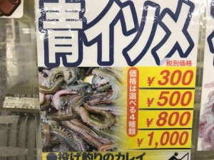 夜の南芦屋浜、根魚狙いも楽しいですよ♪南芦屋浜