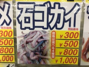 夜の南芦屋浜、根魚狙いも楽しいですよ♪南芦屋浜