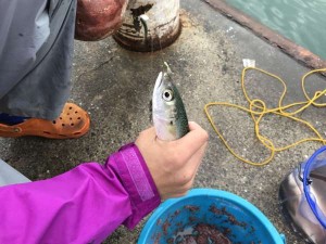 IMG_1038
