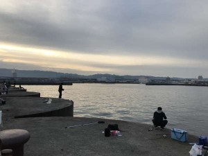 fishingmax二色の浜11月26日リアル (1)