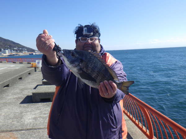 平磯海づり公園暴風の中釣果は フィッシングマックス 関西の釣果 大阪 神戸 和歌山の釣果情報