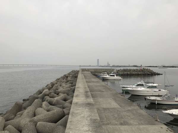泉南市】樽井漁港の釣り場は・・・ | フィッシングマックス 関西の釣果|大阪・神戸・和歌山の釣果情報