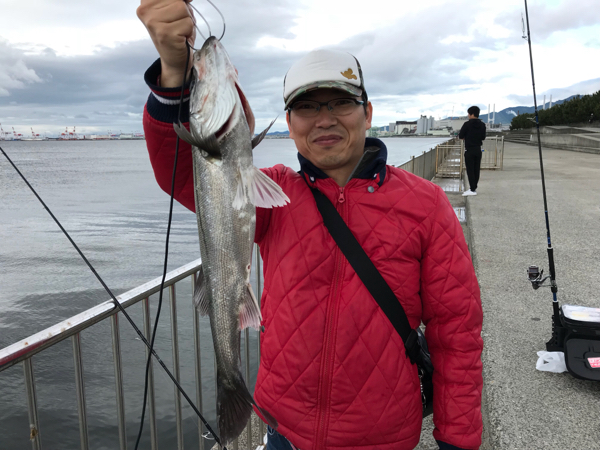 超リアル Vj 22でシーバス フィッシングマックス 関西の釣果 大阪 神戸 和歌山の釣果情報