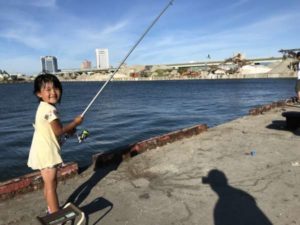 泉大津夕方リアル なぎさ公園が フィッシングマックス 関西の釣果 大阪 神戸 和歌山の釣果情報