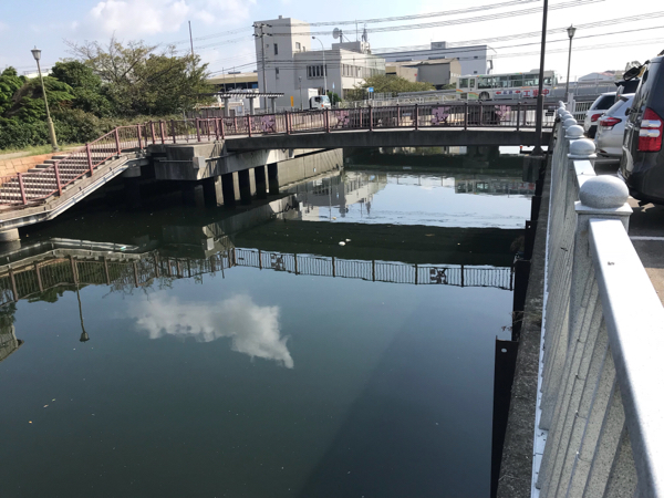 超リアル 北堀運河 フィッシングマックス 関西の釣果 大阪 神戸 和歌山の釣果情報