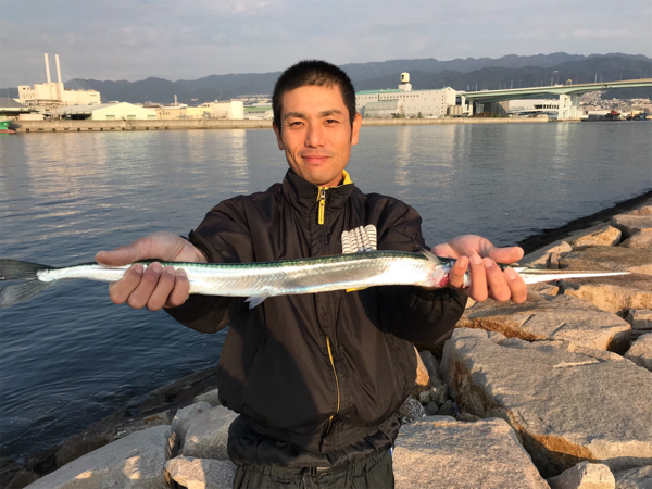 超リアル ルアーでサゴシとダツ フィッシングマックス 関西の釣果 大阪 神戸 和歌山の釣果情報