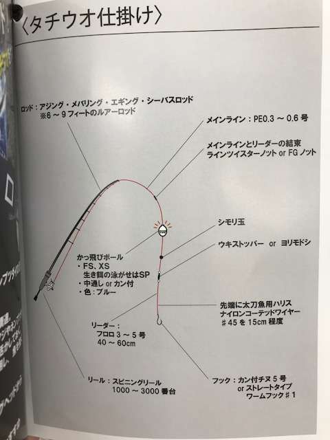 巷で噂の タチフロート でアタリ連発 フィッシングマックス 関西の釣果 大阪 神戸 和歌山の釣果情報