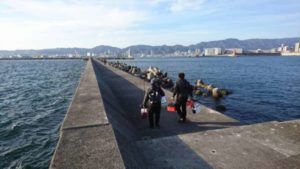 狙うは良型 神戸沖堤防で半夜メバリング 4 12メバリングイベント開催 フィッシングマックス 関西の釣果 大阪 神戸 和歌山の釣果情報