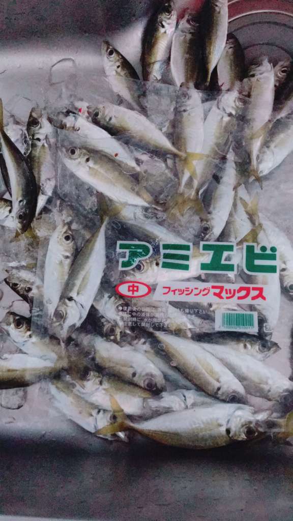 小島漁港にてサビキ釣りでアジ フォトキャンペーン フィッシングマックス 関西の釣果 大阪 神戸 和歌山の釣果情報