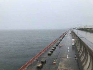 平磯 雨の中でもアジが好調 フィッシングマックス 関西の釣果 大阪 神戸 和歌山の釣果情報