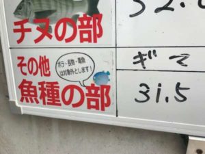 夜のブッコミ 青イソメで ギマ フィッシングマックス 関西の釣果 大阪 神戸 和歌山の釣果情報