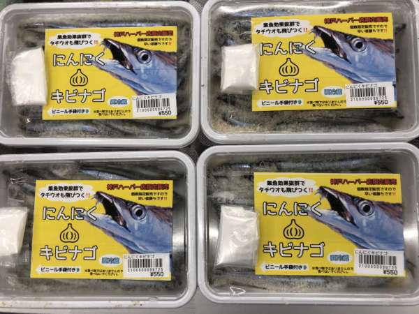 にんにくキビナゴ限定販売 フィッシングマックス 関西の釣果 大阪 神戸 和歌山の釣果情報