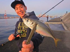 フィッシングマックス 関西の釣果 大阪 神戸 和歌山の釣果情報 釣果一覧