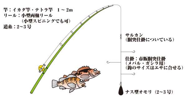 メバル・ガシラの胴突仕掛 | フィッシングマックス 関西の釣果|大阪