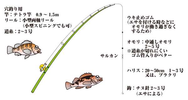 メバル ガシラの胴突仕掛 フィッシングマックス 関西の釣果 大阪 神戸 和歌山の釣果情報