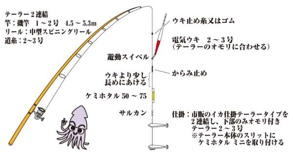 スルメ コウイカのウキ釣り仕掛 フィッシングマックス 関西の釣果 大阪 神戸 和歌山の釣果情報