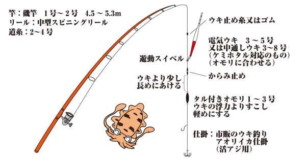 アオリイカのウキ釣り仕掛 フィッシングマックス 関西の釣果 大阪 神戸 和歌山の釣果情報