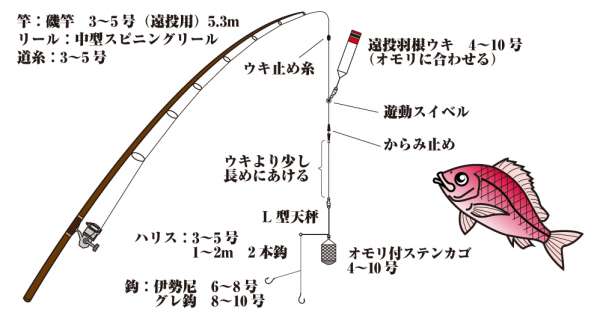 マダイのカゴ釣り仕掛 | フィッシングマックス 関西の釣果|大阪・神戸・和歌山の釣果情報