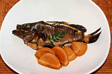 メバル 料理魚種 フィッシングマックス 関西の釣果 大阪 神戸 和歌山の釣果情報