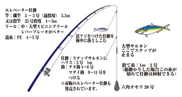 ハマチ メジロのノマセ釣り仕掛 フィッシングマックス 関西の釣果 大阪 神戸 和歌山の釣果情報