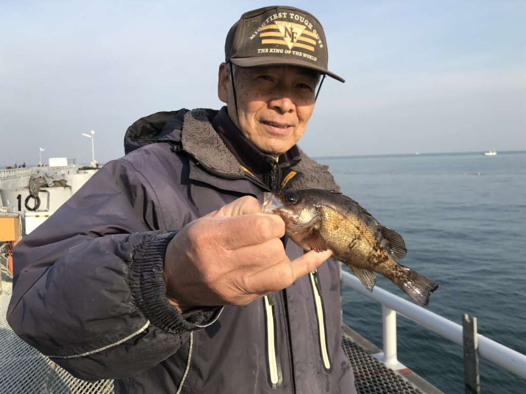 とっとパーク小島 ガシラにメバル釣れてます 前日昼前にはタイも フィッシングマックス 関西の釣果 大阪 神戸 和歌山の釣果情報