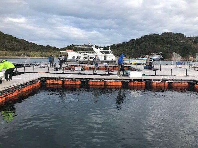 １１日 水 和歌山釣果 海上釣堀 紀州 へ行って来ました フィッシングマックス 関西の釣果 大阪 神戸 和歌山の釣果情報