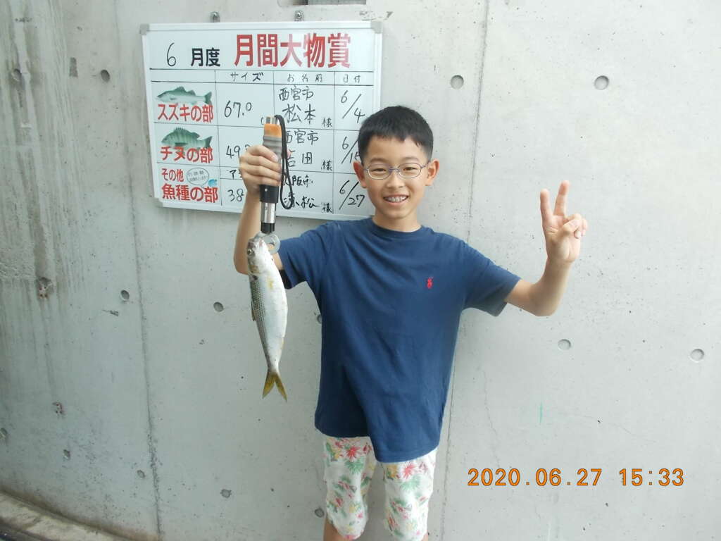 鳴尾浜公園 アコウ ギマなど凄いな フィッシングマックス 関西の釣果 大阪 神戸 和歌山の釣果情報