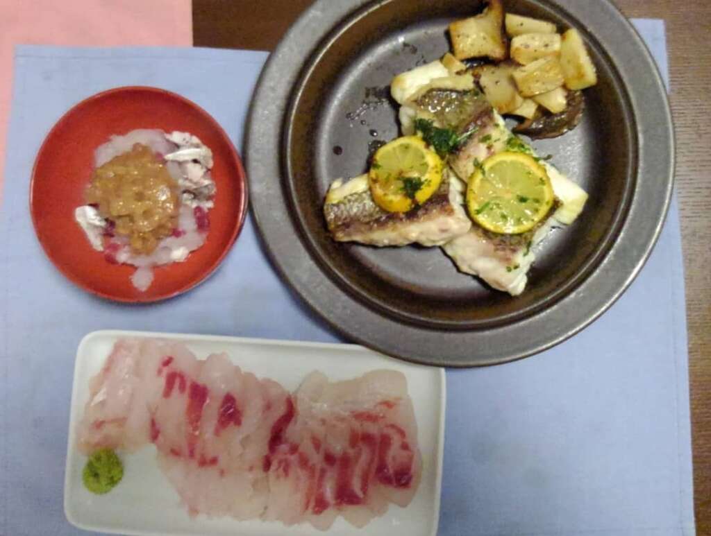 クエカンパチを求めて アカイカのませ釣行 フィッシングマックス 関西の釣果 大阪 神戸 和歌山の釣果情報