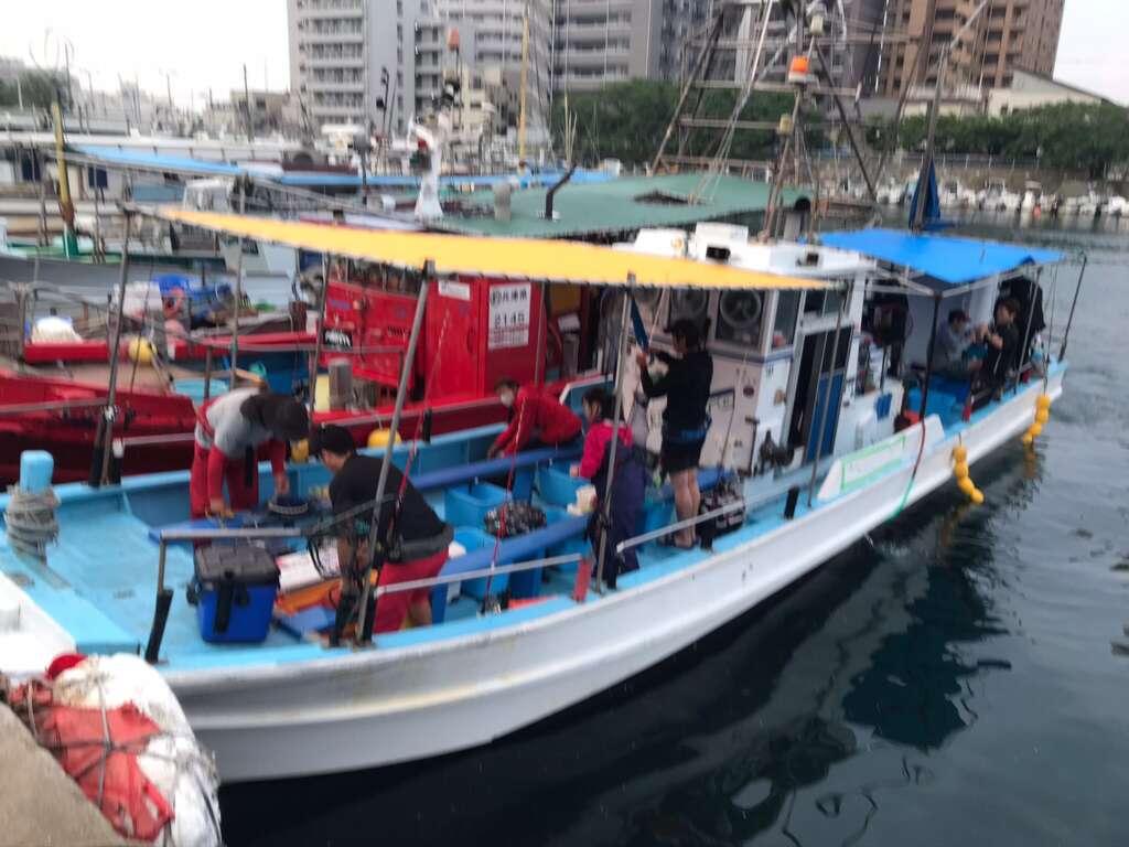 今年の船タコは数サイズ共に楽しますヨ フィッシングマックス 関西の釣果 大阪 神戸 和歌山の釣果情報