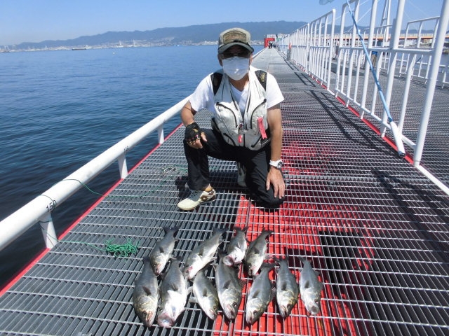 尼崎市立魚つり公園 釣果情報 フィッシングマックス 関西の釣果 大阪 神戸 和歌山の釣果情報