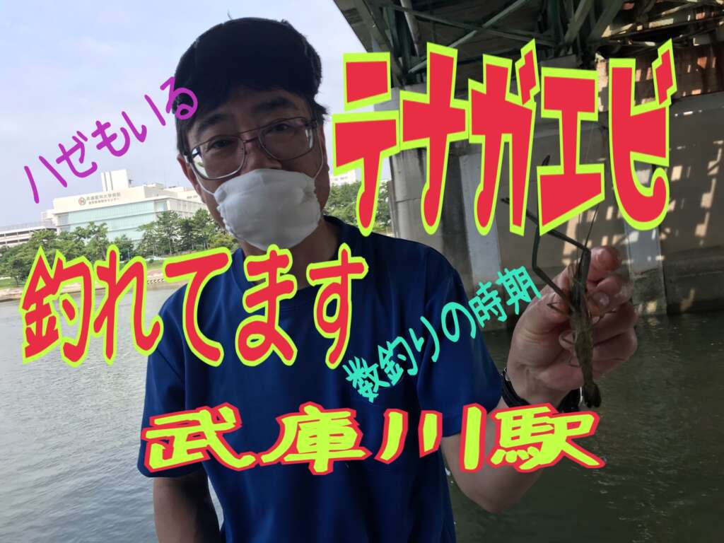 手長エビ 魚種 フィッシングマックス 関西の釣果 大阪 神戸 和歌山の釣果情報
