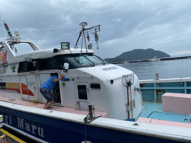 高級アコウがイレグイ 日本海の夏 アコウの夏 フィッシングマックス 関西の釣果 大阪 神戸 和歌山の釣果情報