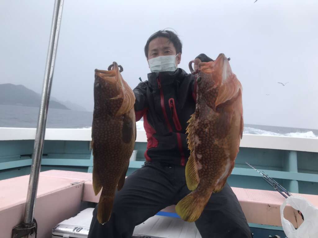 高級アコウがイレグイ 日本海の夏 アコウの夏 フィッシングマックス 関西の釣果 大阪 神戸 和歌山の釣果情報