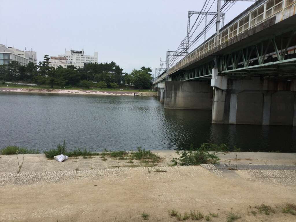 武庫川 水位