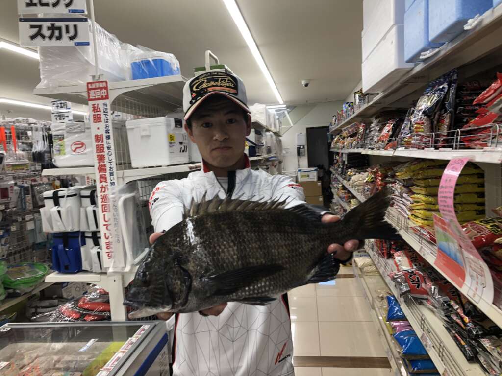 フカセ釣りでチヌ 釣果お持込み フィッシングマックス 関西の釣果 大阪 神戸 和歌山の釣果情報