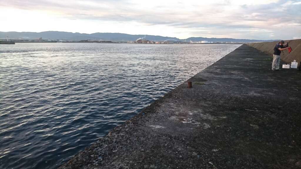 岸一で波止ダンゴ筏スタイル堪能 フィッシングマックス 関西の釣果 大阪 神戸 和歌山の釣果情報