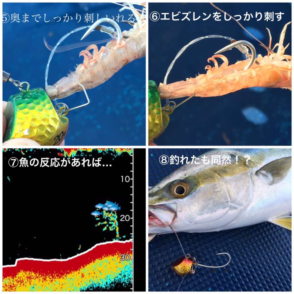 明石 海蓮丸さんで鯛テンヤ釣り フィッシングマックス 関西の釣果 大阪 神戸 和歌山の釣果情報