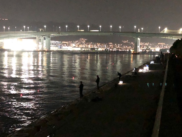電気ウキを使って夜釣り楽しもう♪ 南芦屋浜 | フィッシングマックス 関西の釣果|大阪・神戸・和歌山の釣果情報