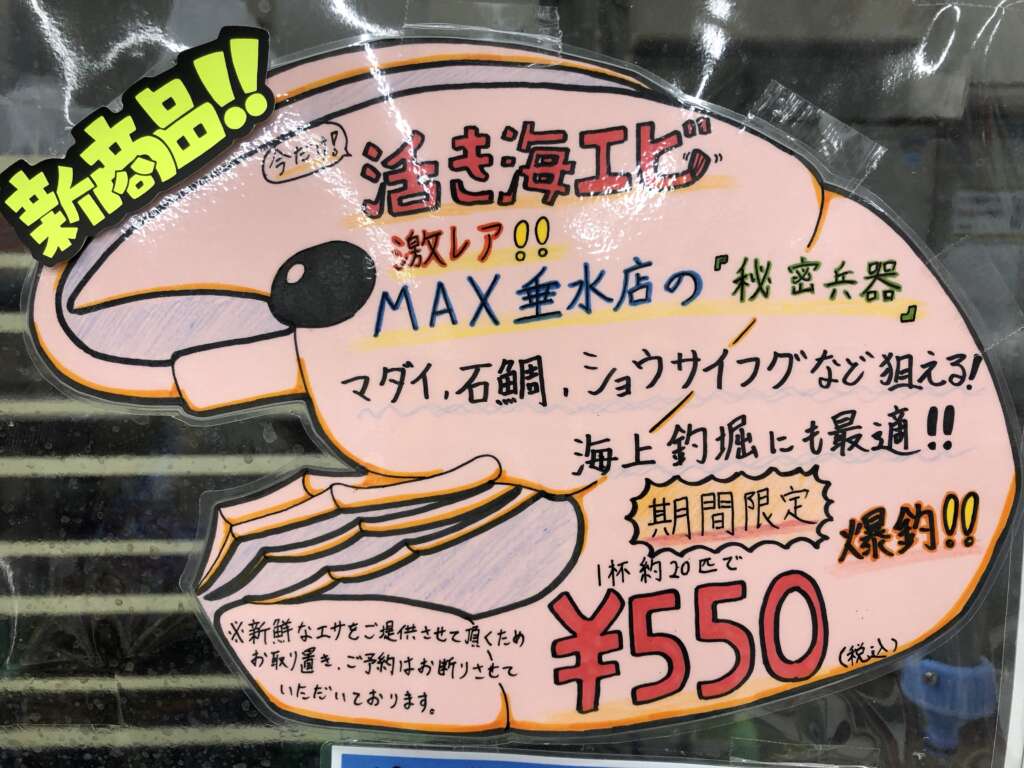 石鯛 真鯛にカットウも 期間限定 活き海エビ 入荷しました フィッシングマックス 関西の釣果 大阪 神戸 和歌山の釣果情報