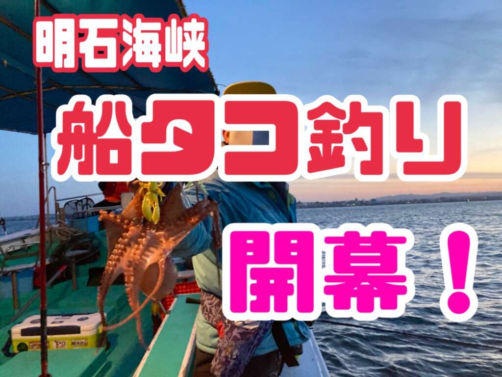 03 4月 21 フィッシングマックス 関西の釣果 大阪 神戸 和歌山の釣果情報