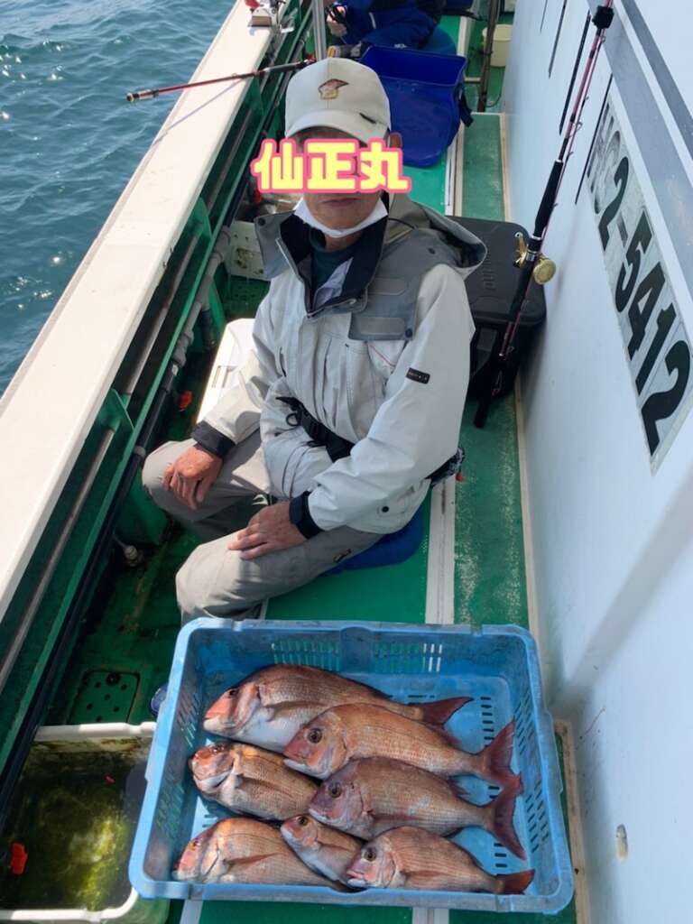 仙正丸 サビキ真鯛釣果 フィッシングマックス 関西の釣果 大阪 神戸 和歌山の釣果情報