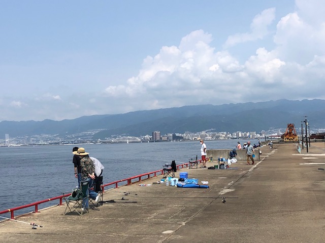 でっかいコノシロ釣れてます 鳴尾浜海釣り広場 フィッシングマックス 関西の釣果 大阪 神戸 和歌山の釣果情報