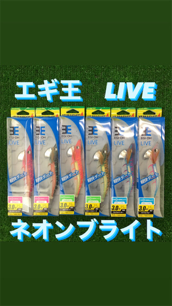 エギ王 LIVE ネオンブライト 3.0号 | フィッシングマックス 関西の釣果 