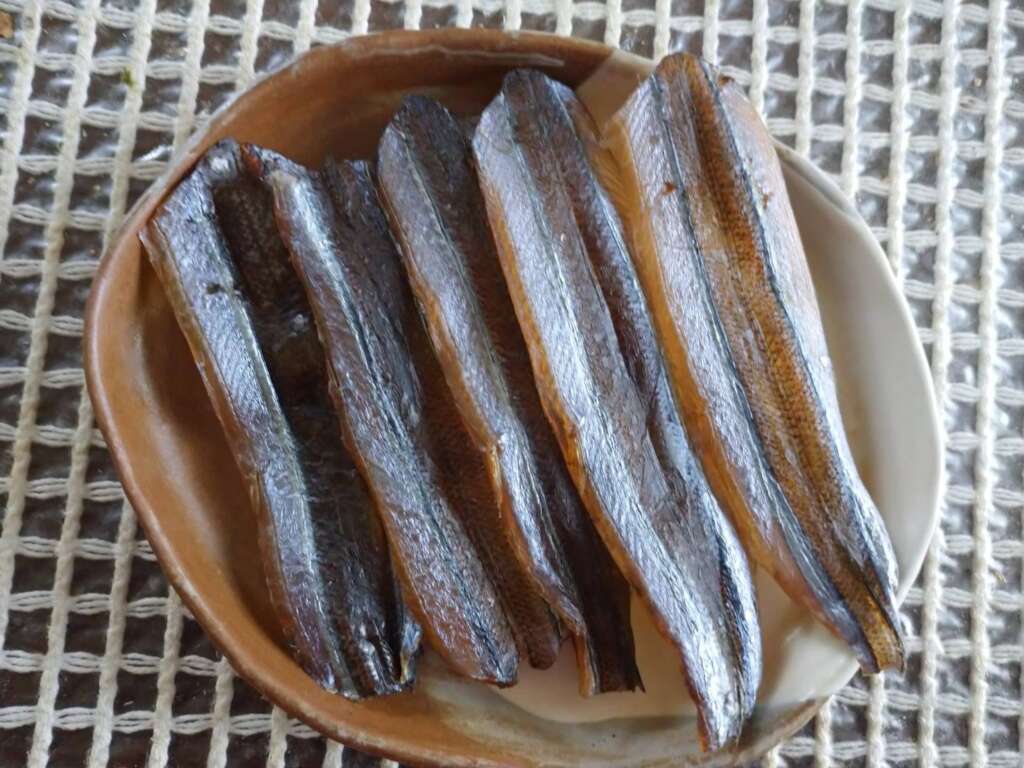 意外と高級 サヨリ名人のサヨリ料理 釣ったサヨリはこう食べる フィッシングマックス 関西の釣果 大阪 神戸 和歌山の釣果情報