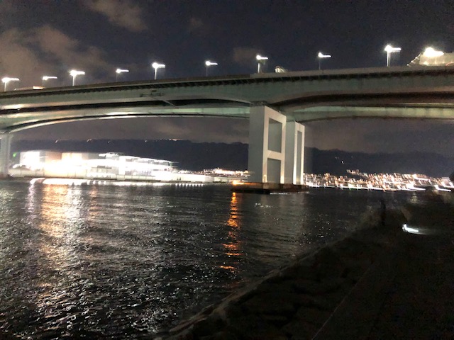 夕方の時合いに良型タチウオ 南芦屋浜 フィッシングマックス 関西の釣果 大阪 神戸 和歌山の釣果情報